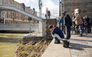 Nicht nur Tiere finden die kleine Floßinsel interessant